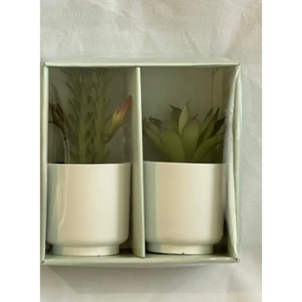 4 Piece Faux Mini Decorative Succulents in Pots 4